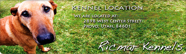 Kennel Location: We are located at: 2898 West Center Street, Provo, Utah, 84601